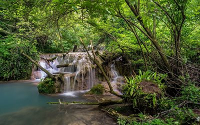 tropical forest, waterfall, river, beautiful forest landscape, green trees