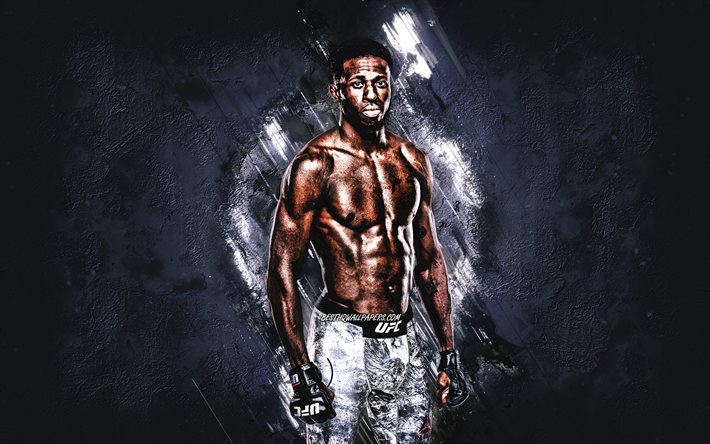 Randy Brown, UFC, MMA, American fighter, blue stone background, Ultimate Fighting Championship