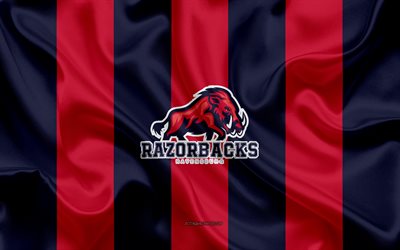 Ravensburg Razorbacks, German American Football Club, GFL, red black silk flag, Ravensburg Razorbacks logo, German Football League, American Football, Ravensburg, Germany