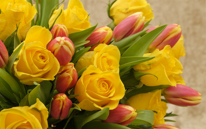 keltaisia ruusuja, rosebuds, kaunis kimppu, ruusut, vaaleanpunainen tulppaanit
