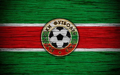 4k, Bulgaristan Milli Futbol Takımı, logo, Avrupa, Futbol, ahşap doku, futbol, Bulgaristan, Avrupa ulusal futbol takımları, Bulgaristan Futbol Federasyonu
