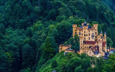 Hohenschwangau Castle, forest, german landmarks, Bavaria, Germany, Europe