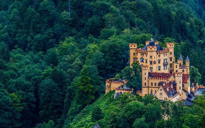 Castello di Hohenschwangau, forest, italian punti di riferimento, Bavaria, Italy, Europe