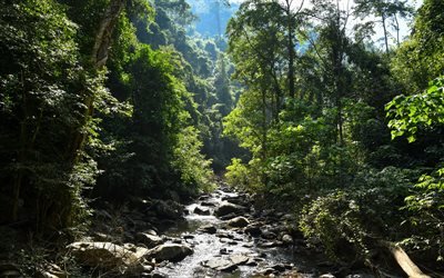 Pala-U Waterfall, Kaeng Krachan, beautiful waterfall, forest, jungle, Thailand, mountain river, summer