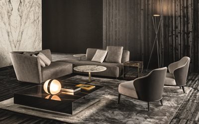 moderno e elegante interior, cinza design de interiores, sala de estar, design moderno, cor cinza na sala de estar
