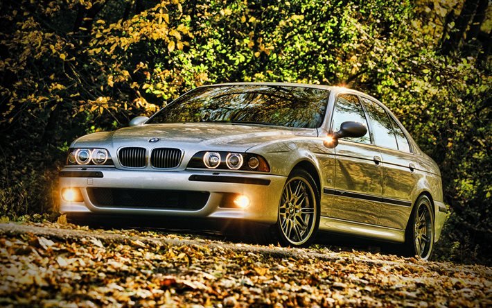 Download Wallpapers Bmw M5 Hdr Autumn 2001 Cars E39 2001 Bmw 5 Series German Cars Bmw For Desktop Free Pictures For Desktop Free