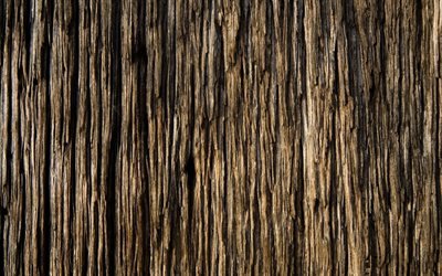 texture d&#39;&#233;corce de bois, fond de bois, &#233;corce de bois, texture du bois, textures naturelles