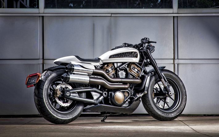 Harley-Davidson Custom 1250, vista lateral, exterior, novo, branco Custom 1250, motocicletas americanas, Harley-Davidson