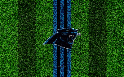 Carolina Panthers, logo, 4k, erba texture, emblema, pantere, calcio prato, blu, nero, linee, Lega Nazionale di Football americano, NFL, Charlotte, North Carolina, stati UNITI, football Americano