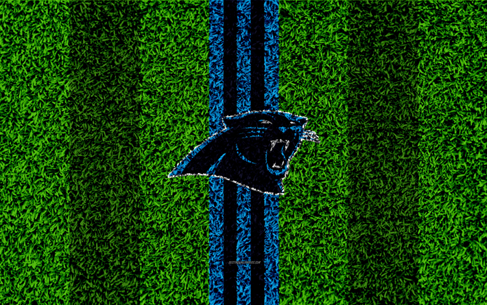 Carolina Panthers, logo, 4k, erba texture, emblema, pantere, calcio prato, blu, nero, linee, Lega Nazionale di Football americano, NFL, Charlotte, North Carolina, stati UNITI, football Americano