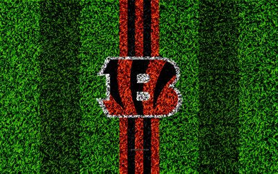 Cincinnati Bengals, logo, 4k, grama textura, emblema, futebol gramado, laranja preto linhas, A Liga Nacional De Futebol, NFL, Cincinnati, Ohio, EUA, Futebol americano