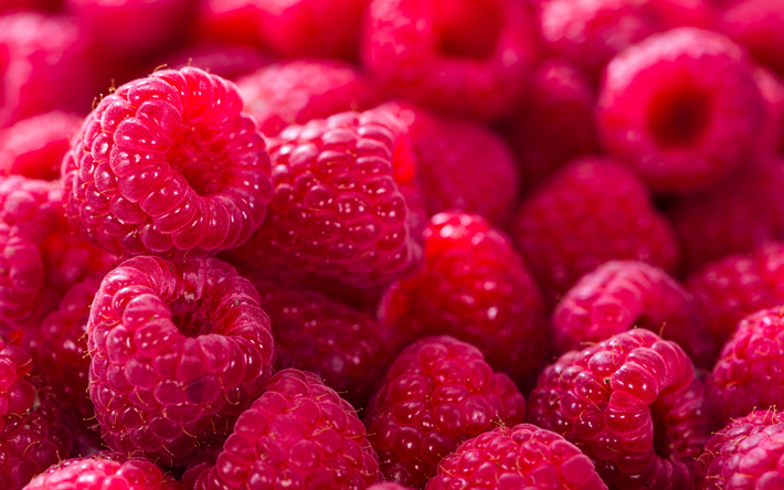 raspberries, 4k, fresh fruit, berries, close-up, fruits