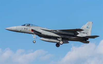 Mitsubishi F-15J, Japonya Hava Öz Savunma Kuvvetleri, Japon Dövüşçü, Japon Hava Kuvvetleri, savaş havacılık