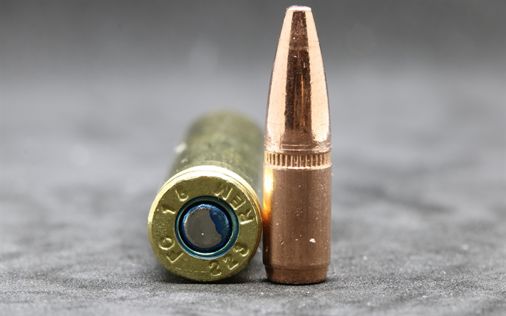 bullet, patronenh&#252;lse, patrone, munition, makro