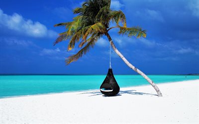 blue lagoon, beach, palm trees, round black pendant armchair, relaxation, rest, white sand, tropical islands, ocean