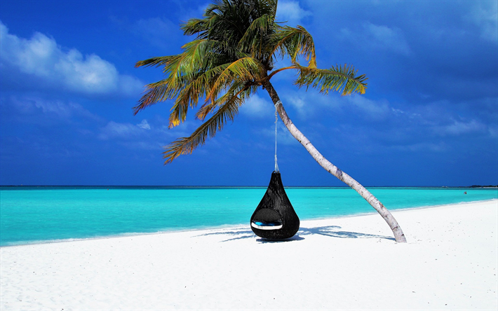 laguna blu, spiaggia, palme, rotondo pendente nero, poltrona, rilassamento, riposarsi, sabbia bianca, isole tropicali, oceano