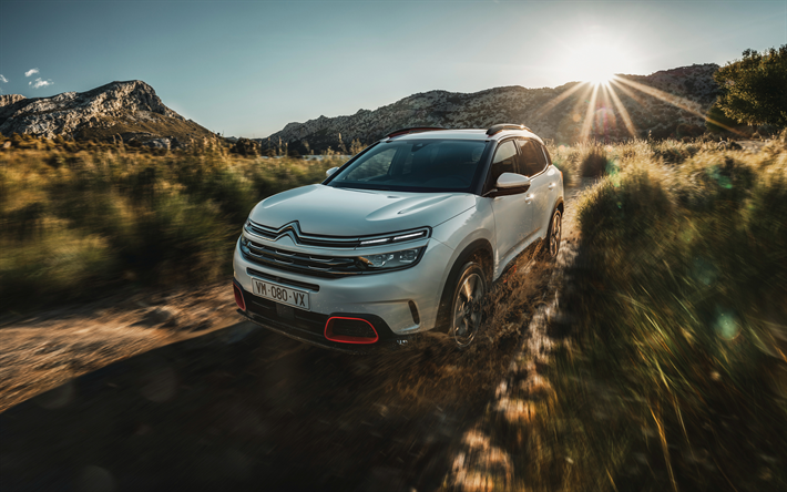 Citroen C5 Aircross, v&#233;hicules multisegments, 2018 voitures, tout-terrain, blanc C5 Aircross, les voitures fran&#231;aises, Citroen