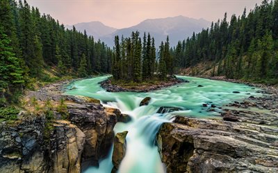 4k, Sunwapta River, waterfalls, forest, canadian landmarks, Sunwapta Falls, Jasper National Park, Alberta, Canada