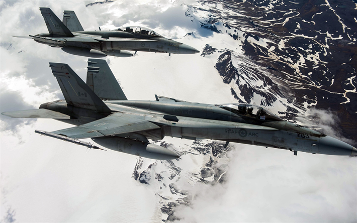McDonnell Douglas CF-18 Hornet, Lutadores, aeronaves militares, Canadian Air Force