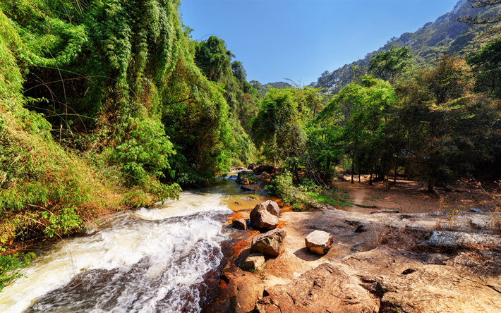 Rio de montanha, ver&#227;o, montanhas, floresta, Vietname