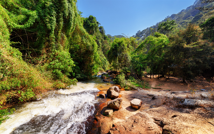 berg, fluss, sommer, berge, wald, vietnam