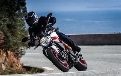Ducati Monster 797, 2017, Branco moto, moto de corrida, Ducati