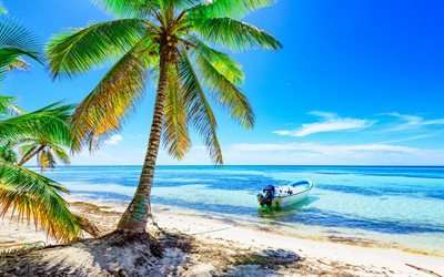 Summer, ocean, tropical islands, beach, palm trees, boat, waves, coast