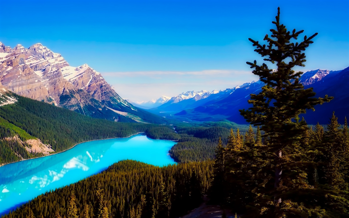 Peyto Lake, HDR, orman, dağlar, mavi g&#246;l, Kanada
