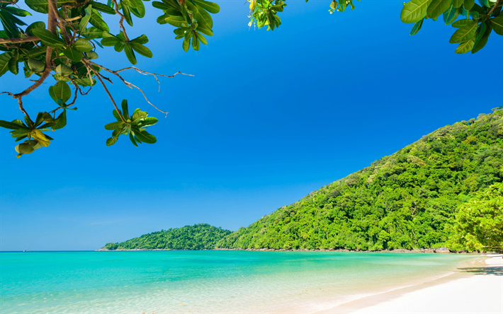 tropical island, Bahamas, beach, ocean, summer, travel, green trees, coast, blue lagoon