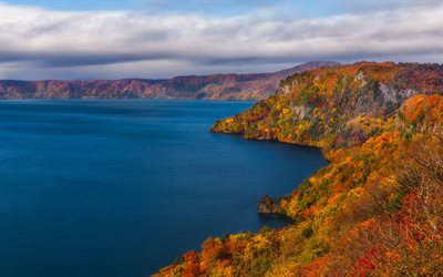 paysage d&#39;automne, lac, littoral, jaune, arbres, automne, Japon