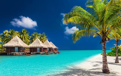 palms, tropiska &#246;n, Maldiverna, bungalow, ocean, sommar, semester, vit sand, beach