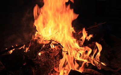 big flame, bonfire, evening, flame, burning tree, burning coal