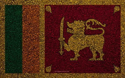 Bandera de Sri Lanka, el asfalto de la textura, la bandera sobre el asfalto, Sri Lanka bandera, Asia, Sri Lanka, las banderas de los pa&#237;ses de Asia