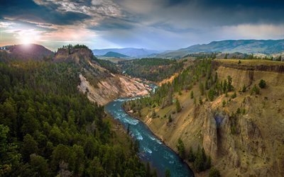 Grand Canyon, river, forest, Yellowstone National Park, America, USA