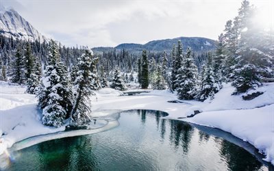 4k, Banff, winter, lake, snowdrifts, forest, North America, mountains, Banff National Park, beautiful nature, Canada, Alberta