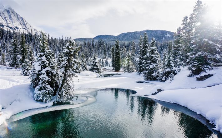 4k, バンフCity in Alberta Canada, 冬。, 湖, 雪の吹きだまり, 森，森林, 北米, 山地, バンフ国立公園, 美しい自然, カナダ, Alberta