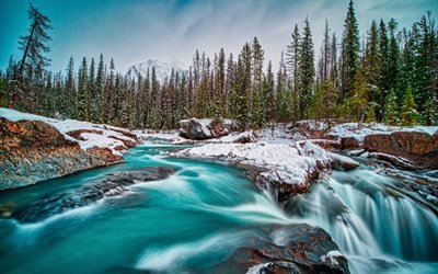 kicking horse river, gebirgsfluss, winter, schnee, wald, blauer fluss, yoho-nationalpark, britisch-kolumbien, kanada
