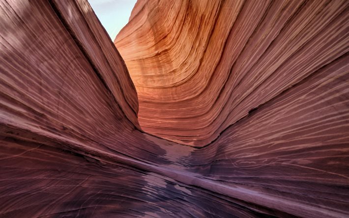 Arizona, オレンジ色の岩, 崖の中を見る, Canyon（キャニオン）, 山地, 米国