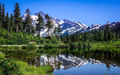 mountains, lake, forest, mountain landscape, clear sky