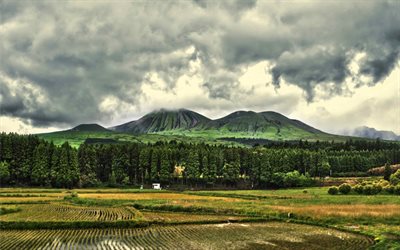 Jap&#243;n, 4k, Kyushu, campos de arroz, monta&#241;as, nubes, bosque
