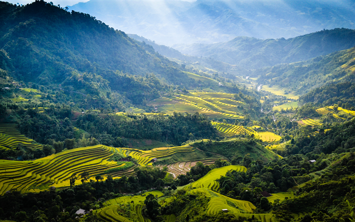 Giang Province, Vietnam, mountains, rice fields, 4k, forest, mountain landscape