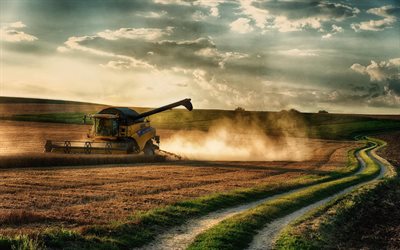 harvesting, combine, harvester, field, wheat, night, sunset, work