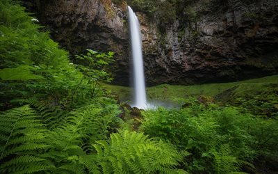 waterfall, rocks, green bushes, mountain waterfall, mountains, beautiful waterfalls