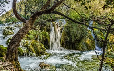 Plitvice lakes, waterfall, lake, forest, Croatia, Plitvice Lakes National Park