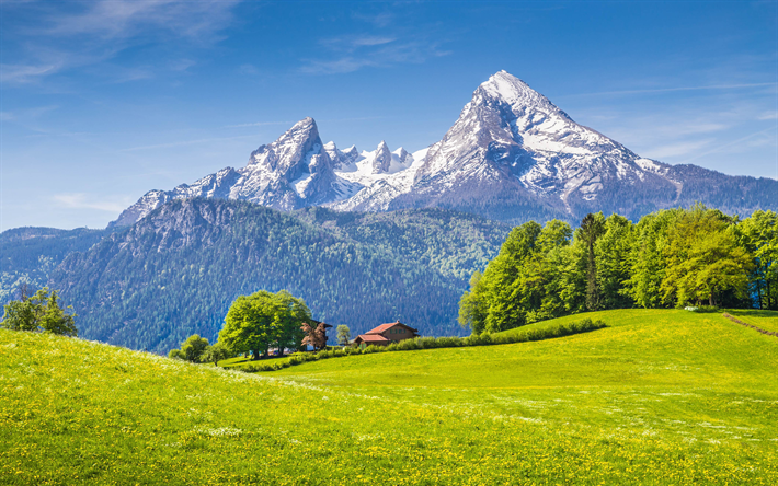Berchtesgaden Alpleri, 4k, dağlar, yaz, Almanya, Avrupa