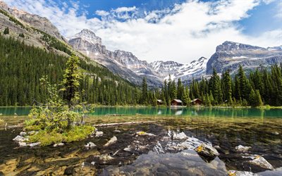 Lake OHara, mountain lake, glacial lake, forest, mountains, Yoho National Park, Canadian Rocky Mountain, Canada
