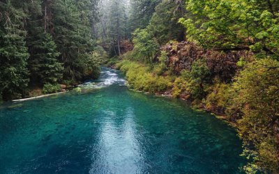 McKenzie River, mountain river, forest, mountains, USA, Oregon, United States
