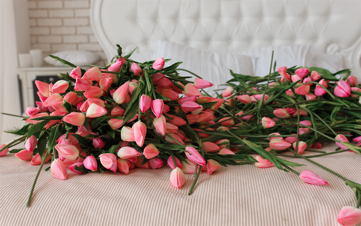 pink tulips, beautiful gift, pink flowers, many flowers, tulips