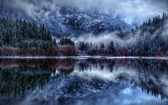 Winter lake, neve, floresta do inverno, lago, floresta de neve, paisagem de inverno