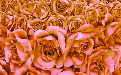 carmesim de rosas, macro, escarlate flores, bokeh, rosas, bot&#245;es, scarlet buqu&#234; de rosas, lindas flores, planos de fundo com flores, scarlet gomos